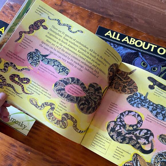 Vintage 90s Scholastic Bundle of 3 All About ... Paperback Books - Picture 6 of 12